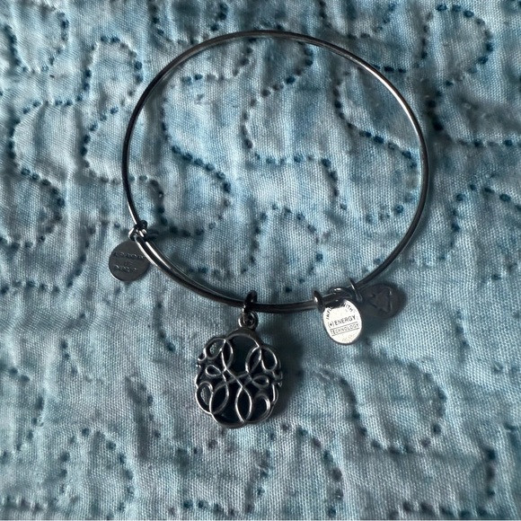 Alex and Ani Path of Life Charm Bracelet - Picture 10 of 10